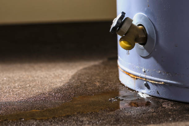Water damage restoration mold remediation in Bedford, TX