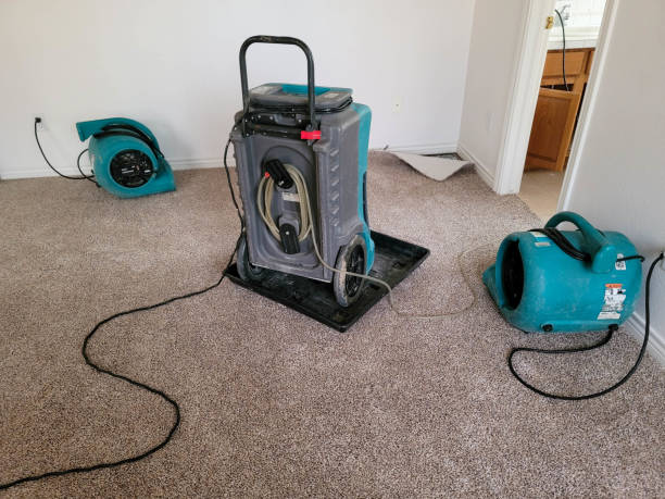 Best Water damage restoration mold remediation  in Bedford, TX