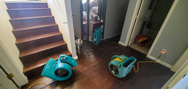 Trusted Bedford, TX Water damage restoration Experts