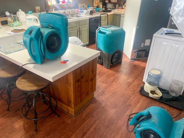 Best Water damage restoration process  in Bedford, TX