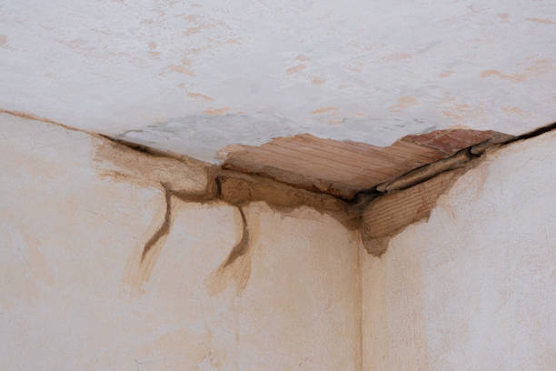 Water damage restoration mold remediation in Bedford, TX