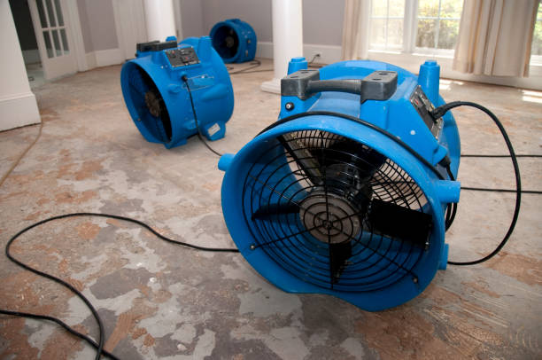 Best Flood restoration services  in Bedford, TX
